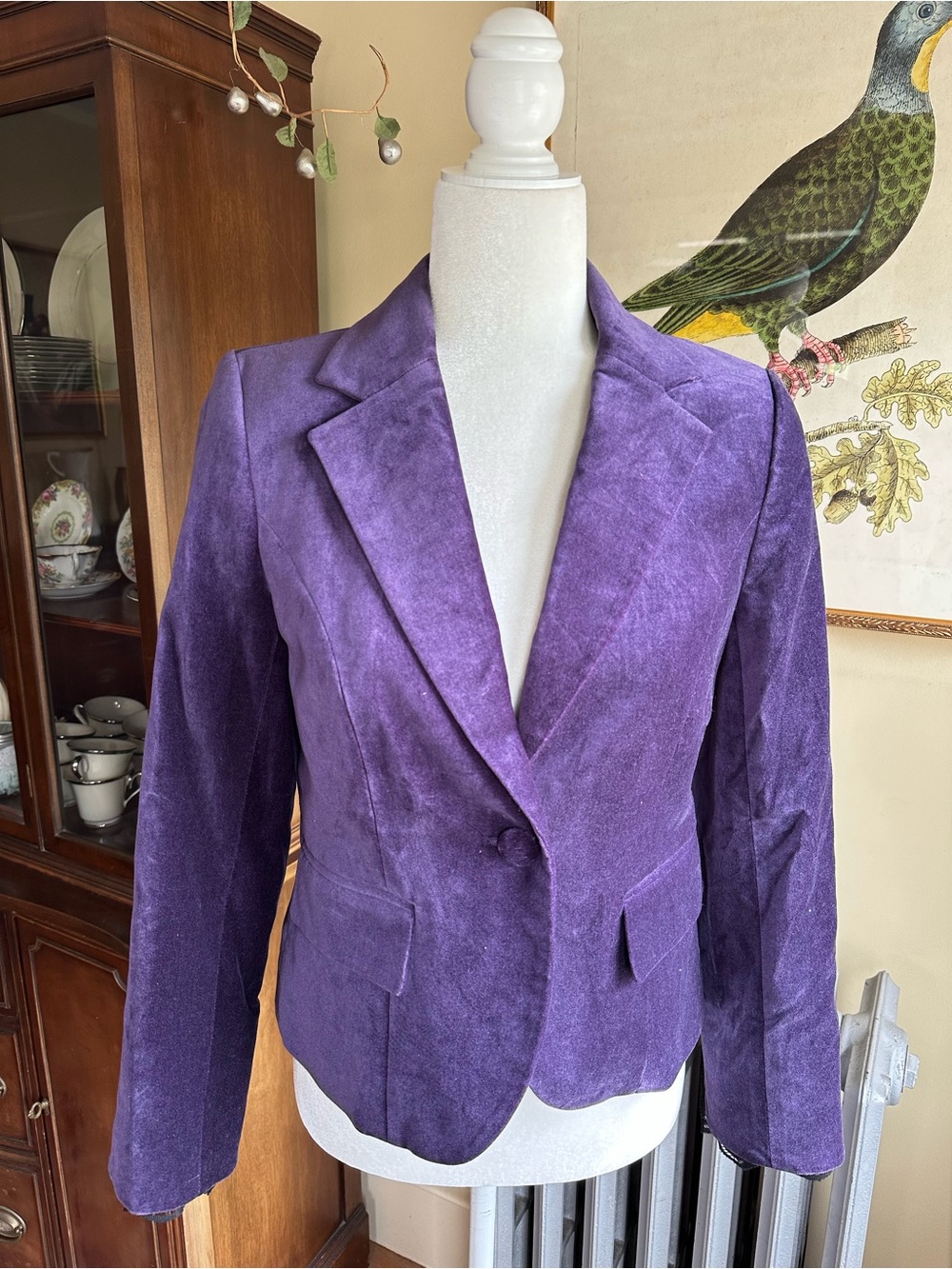 Apostrophe Purple Velvet Blazer Jacket 4P  Lace Trim Woodland Lining Gothic